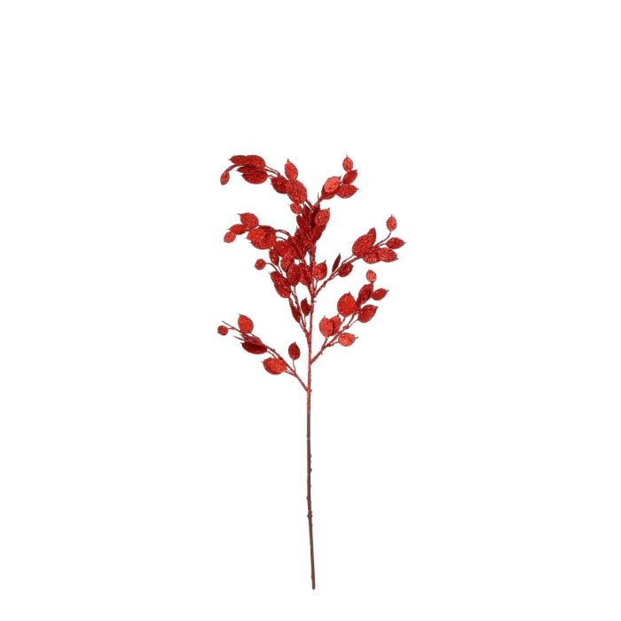Monye plant gren red