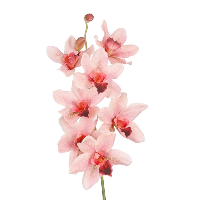 Ferskenfarvet Vanda orkidéstilk fra Mica Decorations