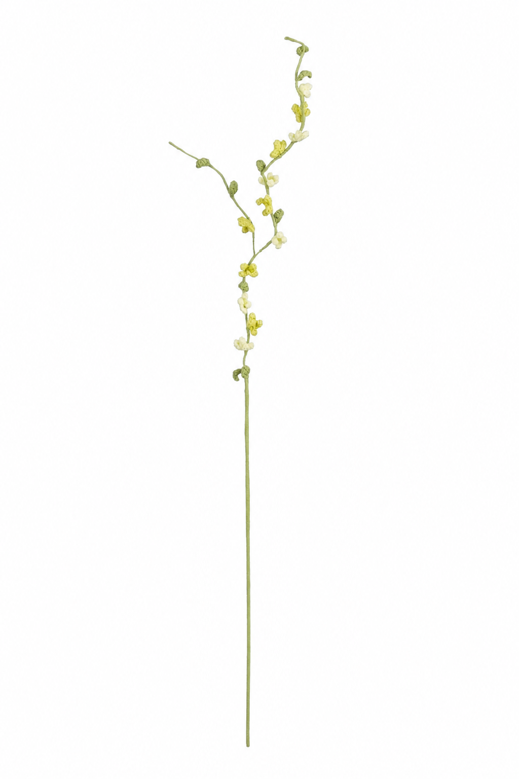 Gul hæklet blomstergren med fine små blomster og grønne knopper på slanke forgreninger
