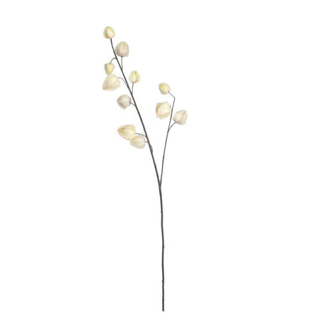 Kinesiske lamper creme