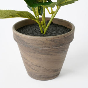 Hortensia hvid 40 cm høj
