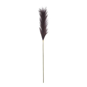 Plume græs lilla