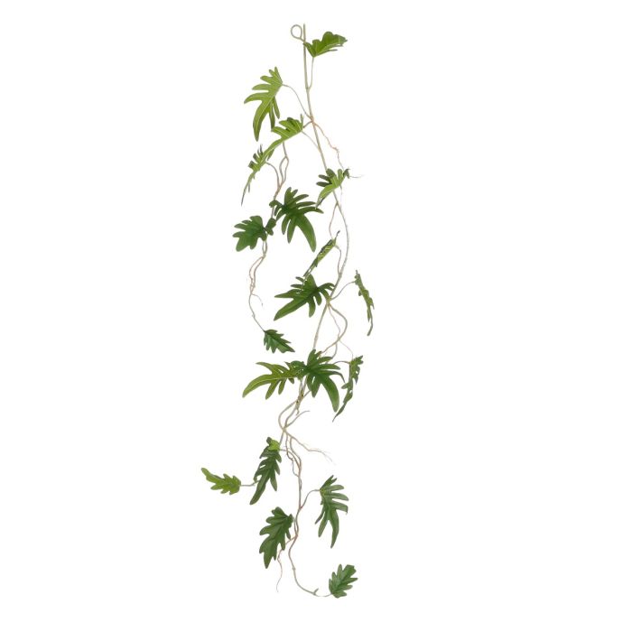 Philodendron xanadu ranke 115 cm lang