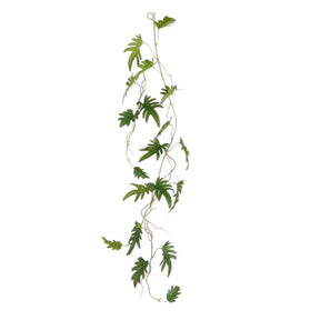 Philodendron xanadu ranke 115 cm lang