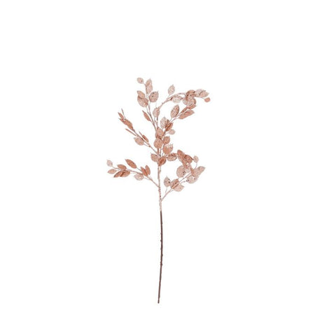 Monye plant gren fersken 