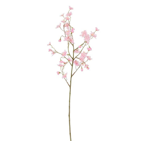 Kirsebærgren 75 cm lang