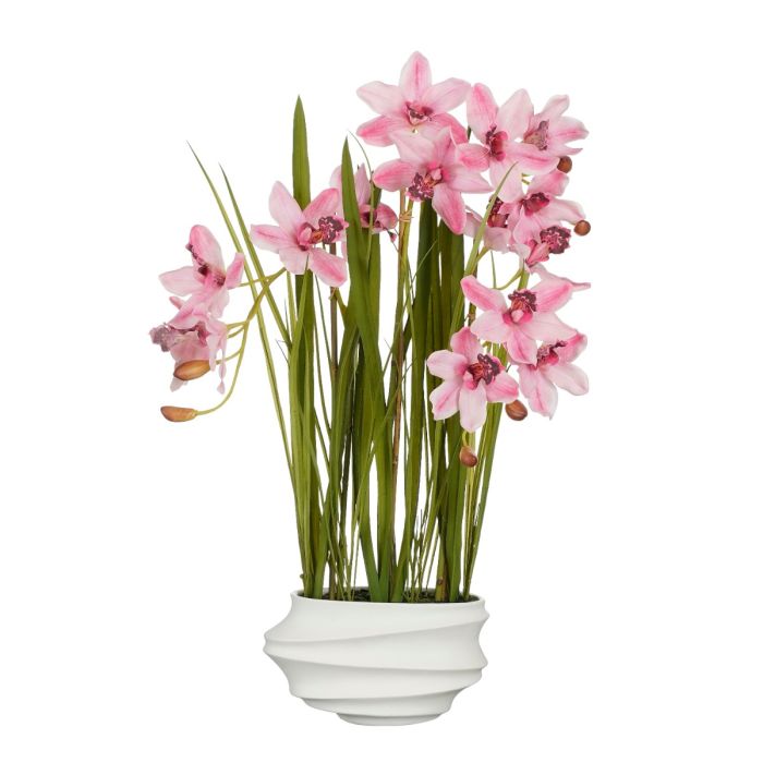 Cymbidium orkidé i krukke 81 cm høj lyserød