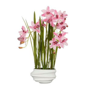 Cymbidium orkidé i krukke 81 cm høj lyserød