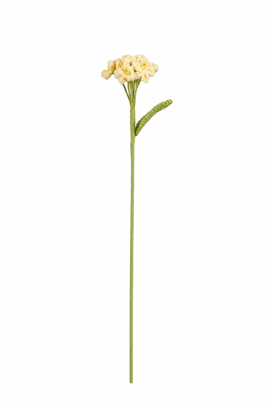 Gul hæklet floks med fine små blomster samlet i en blomsterklase