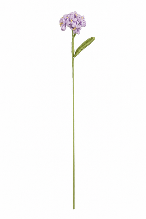 Lilla hæklet floks med små blomster og grønt blad til dekorative buketter