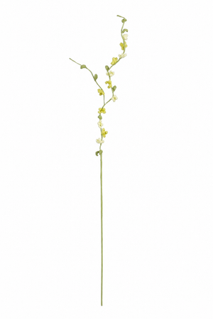 Gul hæklet blomstergren med fine små blomster og grønne knopper på slanke forgreninger