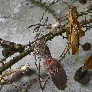 Fugl på klips brune nuancer