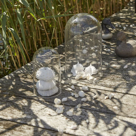 Speedtsberg Koral til dekoration