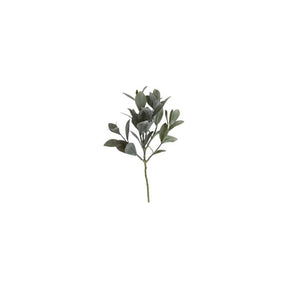 Eukalyptus stilk 30 cm