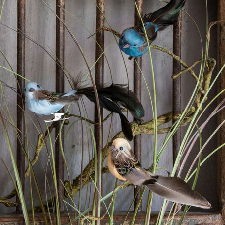 Fugl med fjerhale på klips 14 cm