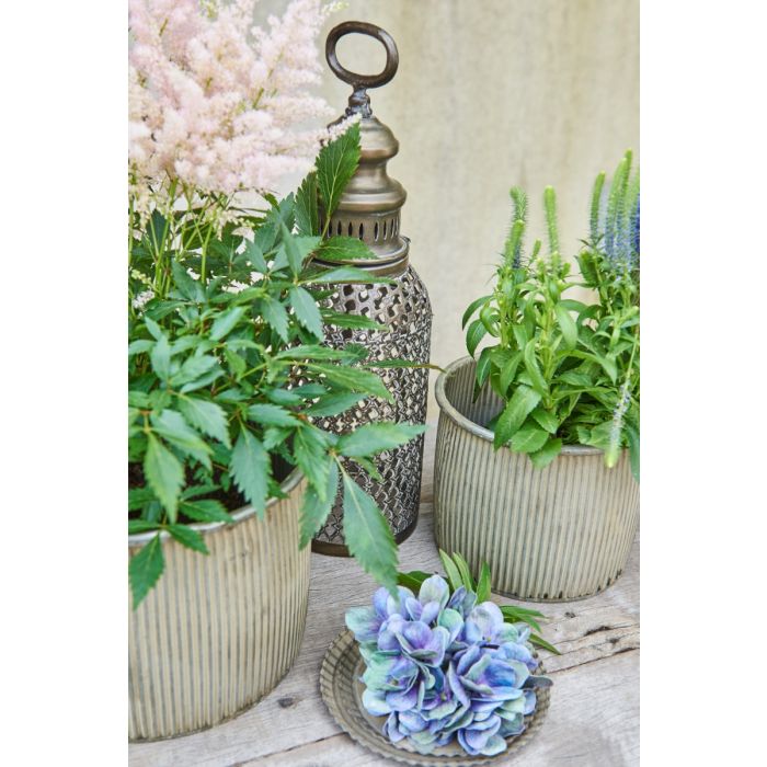 Lanterne med pære 37 cm høj