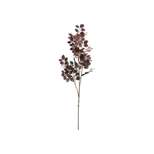 Frynseblomst rød