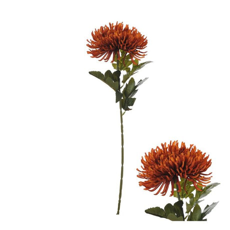 Naturtro edderkopkrysantemum blomsterstilk i rustfarvet nuance.