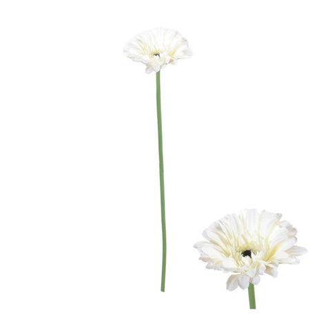 Kunstig hvid gerbera 55 cm.