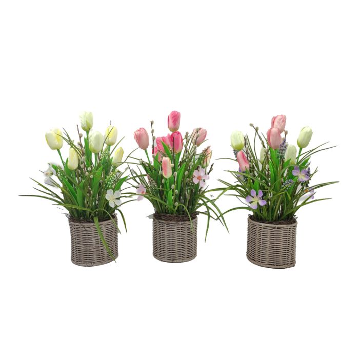 Dekoration med tulipaner i kurv