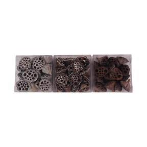 Lotusfrø med wire