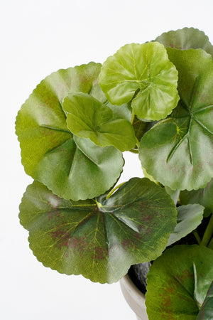 Grønne kunstige blade på en pelargonie fra Mica