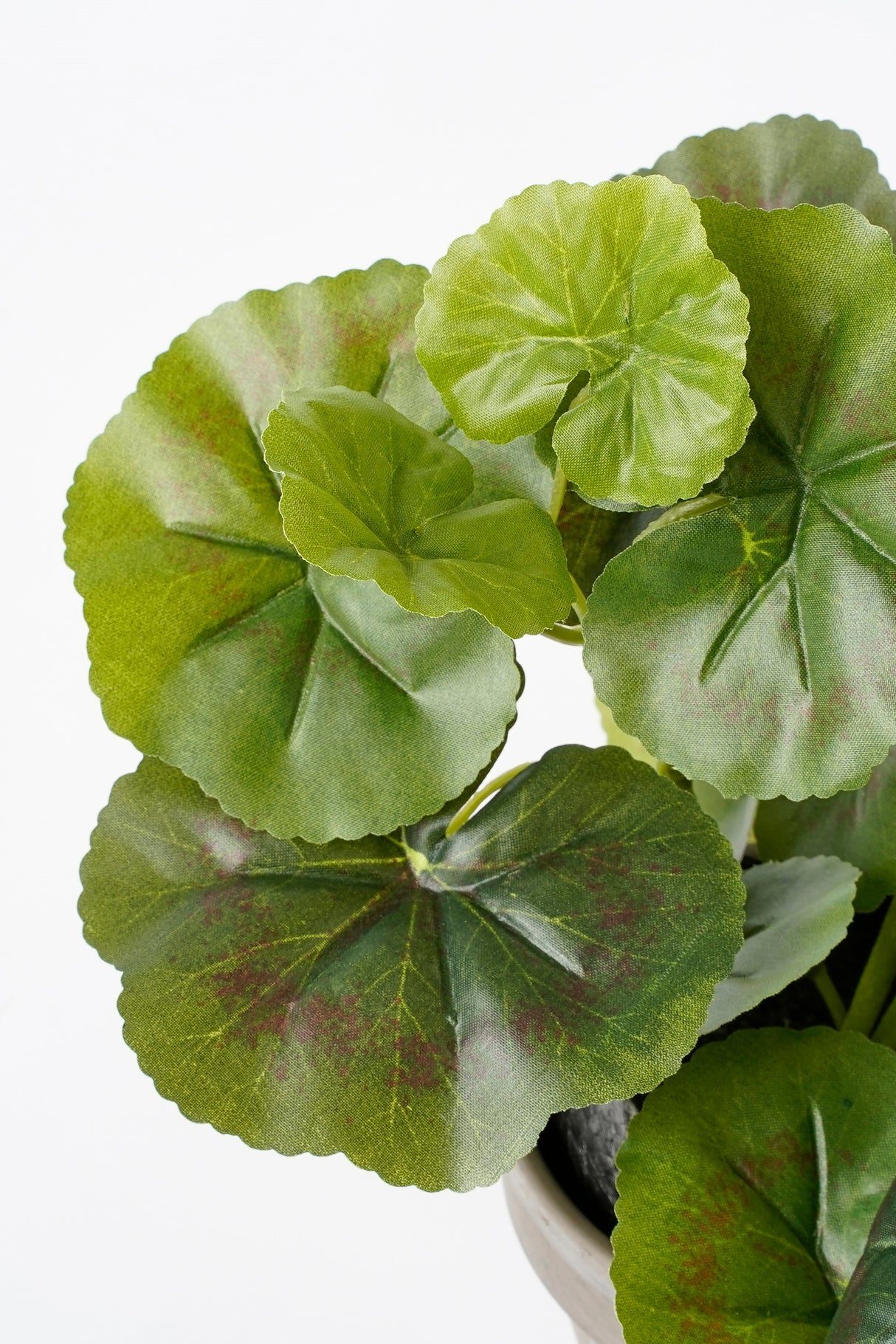 Grønne, kunstige blade på en pelargonie fra Mica set tæt på