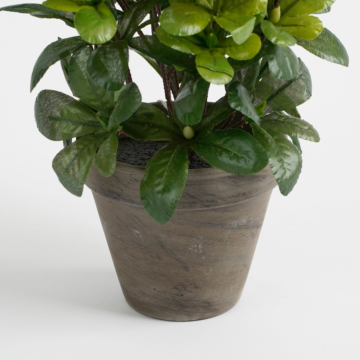 Grå lerkrukke på en kunstig azalea