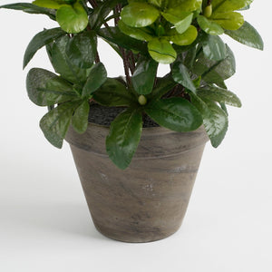 Grå lerkrukke på en kunstig azalea