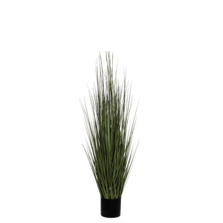 Græsser 122 cm høj