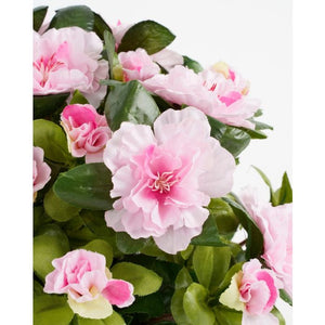 Azalea lyserød 27 cm høj