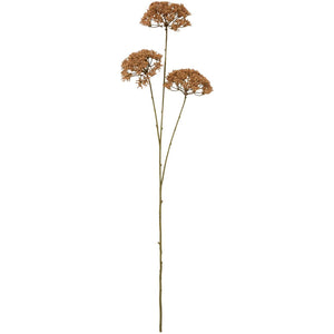 Kunstig blomsterstilk fra Ib Laursen med tre nøddebrune skærmblomster på lange, bladløse stilke.
