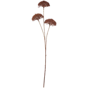 Kunstig blomsterstilk fra Ib Laursen med tre mørkebrune skærmblomster på lange, bladløse stilke.