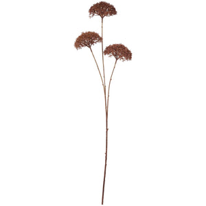 Kunstig blomsterstilk fra Ib Laursen med tre mørkebrune skærmblomster på lange, bladløse stilke.