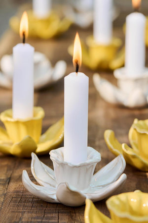 Lysestager Daffodils i butter cream og lemonade gule nuancer