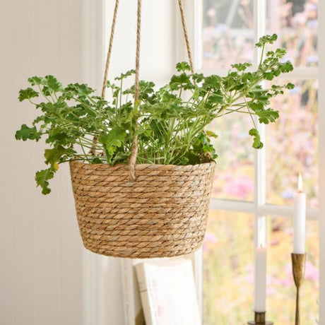 Ib Laursen hængeskjuler i søgræs med krydderurt