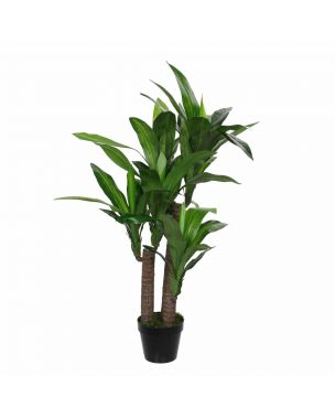 Dracaena palme 110 cm høj