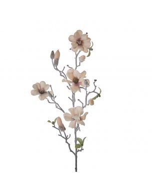 Magnolia snow beige