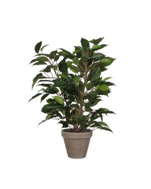 Ficus Natasja plante kunstig